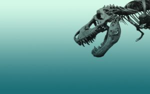 Download t rex skeleton wallpaper HD