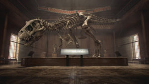 Top t rex skeleton wallpaper HD Download