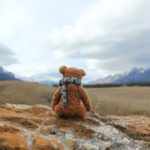 Top teddy bear desktop wallpaper HD Download