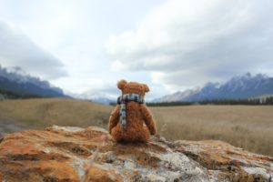 Top teddy bear desktop wallpaper HD Download