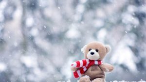 Top teddy bear desktop wallpaper Download