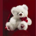 Download teddy bear desktop wallpaper HD