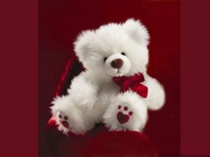 Download teddy bear desktop wallpaper HD