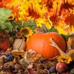 Top thanksgiving backgrounds for desktop 4k Download