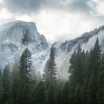 Top trees and mountains wallpaper Download
