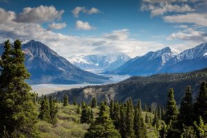 Download trees and mountains wallpaper HD