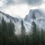 Top trees and mountains wallpaper free Download