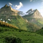 Top trees and mountains wallpaper 4k Download