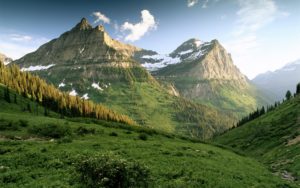 Top trees and mountains wallpaper 4k Download