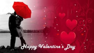 Top valentine day special wallpaper HD Download