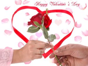 Top valentine day special wallpaper HD Download