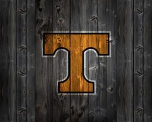 Top vols wallpaper 4k Download