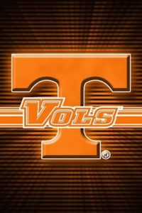 Download vols wallpaper HD