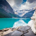 Top wallpaper background animals 4k Download