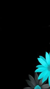 Top wallpaper black flower 4k Download