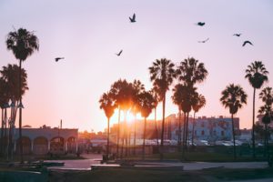 Top wallpaper los angeles 4k free Download