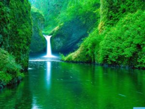 Top wallpaper nature download free pc 4k Download