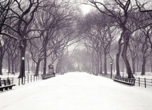 Top wallpaper new york winter HD Download