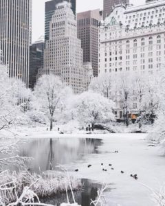 Download wallpaper new york winter HD