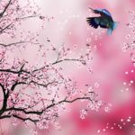 Top wallpaper sakura pink 4k Download