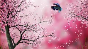 Top wallpaper sakura pink 4k Download