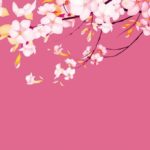 Download wallpaper sakura pink HD