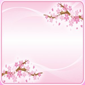 Download wallpaper sakura pink HD