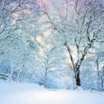 Top winter background pictures 4k Download