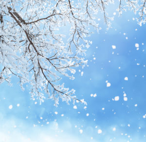 Download winter background pictures HD