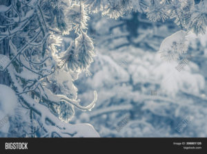 Download winter background pictures HD