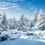 Download winter background pictures HD