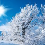 Top winter background pictures free Download