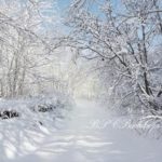 Download winter background pictures HD