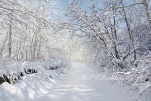 Download winter background pictures HD