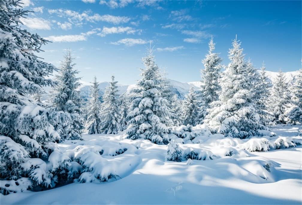 Download winter background pictures HD