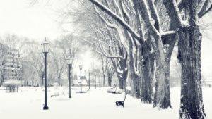 Top winter desktop wallpaper HD Download