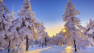 Top winter desktop wallpaper HD Download