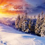 Download winter desktop wallpaper HD