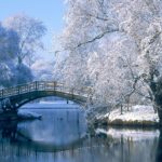 Top winter desktop wallpaper free Download