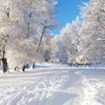 Download winter free wallpaper background HD