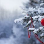 Top winter free wallpaper background free Download