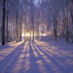 Top winter free wallpaper background HD Download