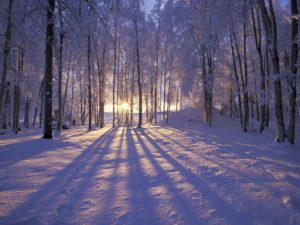 Top winter free wallpaper background HD Download