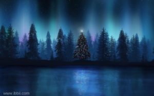 Top winter night scenes wallpaper Download