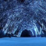 Top winter night scenes wallpaper 4k Download
