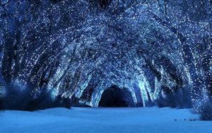 Top winter night scenes wallpaper 4k Download