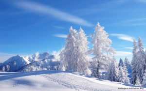 Top winter scene wallpaper for desktop 4k Download