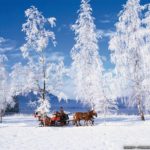 Download winter scene wallpaper for desktop HD