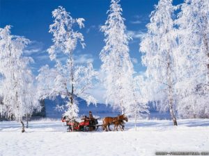 Download winter scene wallpaper for desktop HD