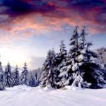 Top winter scene wallpaper for desktop Download